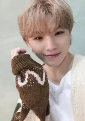 【中古】コレクションカード(男性) SEVENTEEN/WOOZI(ウジ)/「SEVENTEEN POP-UP STORE 2021 -あいのちから-」トレーディングカード