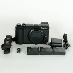2025年最新】LUMIX DC-GX7MK3の人気アイテム - メルカリ