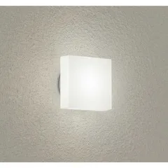 【 新品 未開封 】   大光電機 壁取付・天井取付兼用ＬＥＤアウトドアライト DXL-81340C 未使用 送料無料