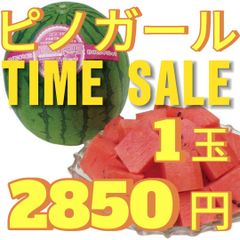 ２８５０円・「すいかランキング第1位」「ピノガール」種まで食べられます