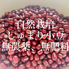 しゅまり小豆　自然栽培　50粒