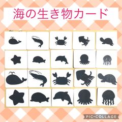海の生き物カード　神経衰弱　シルエットクイズ　モンテッソーリ