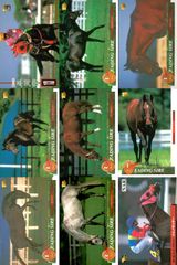 ディープボンド ブラックサンダー 京都競馬場 ウェルカムチャンス