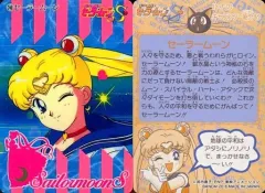 【中古】アニメ系トレカ 240[ノーマルカード]：セーラームーン