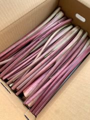 甘酢漬けに！生の赤ずいき 2Kg