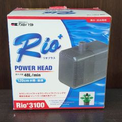 カミハタ  リオプラス3100(50Hz) 【新品】