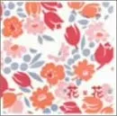 CD 花花, おのまきこ, こじまいづみ Foot Print -花*花 Works 2000-2003  WPCL10019  レンタル落ち /00110