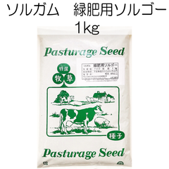 ソルガム種子　緑肥用ソルゴー　1kg【種】緑肥　ソルガム　春まき　夏の緑肥