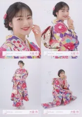 【中古】生写真(乃木坂46) ◇大園玲/櫻坂46ランダム生写真 【2024年 振袖衣装】 4種コンプリートセット