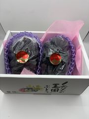 贈答用🍇お中元に‼️初物ハウス栽培種無しピオーネ❗️数量限定❗️1房500以上❗️　2房入り　岡山県産　ハウス栽培　種無しピオーネ