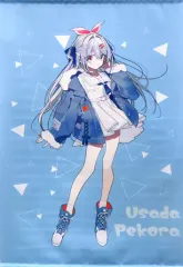 【中古】タペストリー [単品] 兎田ぺこら B2タペストリー 「バーチャルYouTuber ホロライブ×ダーツライブ DARTSLIVE Home ホロライブ限定パッケージ 兎田ぺこらVer.」 同梱特典のサムネイル