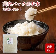 夢つくし 無洗米 真空パック 5合（750g） 福岡県産 メール便