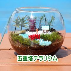 五重塔【苔テラリウム・手作りキット一式】日本情景　父の日ギフト
