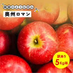 「奥州ロマン5キロ箱訳あり品」りんご 信州産 産地直送（～33玉） 長野県産 安曇野 幻の林檎  超希少品種のサムネイル