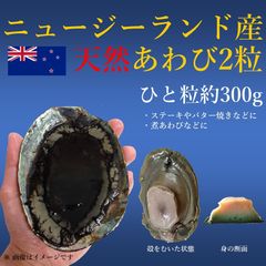 【限定商品】ニュージーランド産 天然アワビ 2個セット