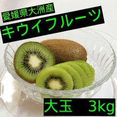 【愛媛県大洲産】キウイフルーツ　大玉　３ｋｇ