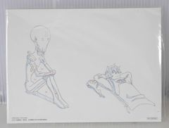 혈계 전선 & BEYOND 복제 원화 대형 카드 (20장 세트) - Blood Blockade Battlefront & Beyond Fukusei Genga Card (20 Sheets) Set