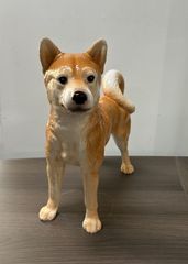 リアル！本物そっくり！ 等身大！？ 柴犬 置物 25オ411 - メルカリ