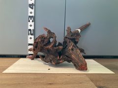 天然木オブジェ 約50cm 根流木風 木の置物 和モダン 重厚感 黒系 一点