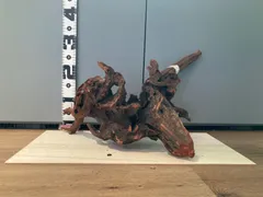 2025年最新】ホーンウッド adaの人気アイテム - メルカリ