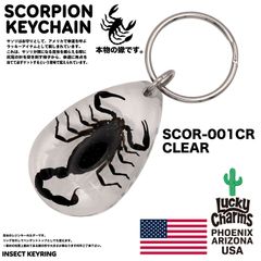 USA ARIZONA SCORPION DROP KEYCHAIN 蠍 サソリ スコーピオン お守り キーホルダー バイカー 幸運 : SCOR-001CL