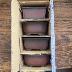 小品盆栽 文山窯 12点セット 303 瀬戸焼文山窯色小鉢12点セット | 盆栽、盆栽書籍、盆栽鉢の通販