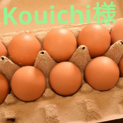Kouichi様専用 平飼い卵50個