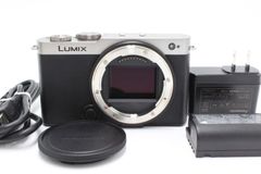 パナソニック(Panasonic) フルサイズ ミラーレス一眼カメラ ルミックス S9-S ボディ ダークシルバー DC-S9-S