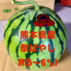 【産地直送・大玉すいか赤果肉・２９日以降発送】熊本県産　大玉スイカ　祭ばやし（M:5～6㎏未満）１玉　正規品