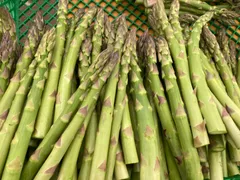 【北海道産】自然栽培アスパラガス　訳あり品1㎏ 産地直送のサムネイル