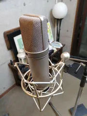 2024年最新】NEUMANN U87の人気アイテム - メルカリ