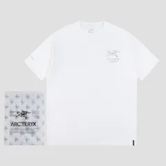 【本日限定特価】Ayc Teryx × PALACE コラボ メタリックシルバープリントTシャツ [本日特価|新品未使用品]