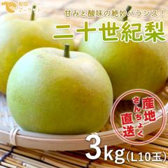 【鳥取県産】二十世紀梨　3kg(10個/Lサイズ)