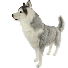HANSA BH8331 シベリアン・ハスキー グレー 115 SIBERIAN HUSKY 犬 ハスキー犬 狼 白狼 リアル ぬいぐるみ ハンサ 動物 アニマル 置物 人形 フィギュア 大きい 実物大 大型 ビッグ おすすめ かわいい おしゃれ