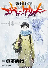 新世紀エヴァンゲリオン (14) (カドカワコミックス・エース)／貞本 義行