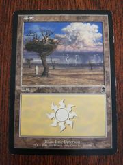MTG〗Plains平地 第7版 John Avon アート foil - メルカリ