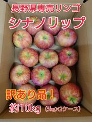 ☆送料無料☆訳あり『シナノリップ』約10kg!長野県新品種リンゴ☆