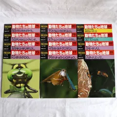 朝日世界動物百科 全13巻 セット 朝日世界動物百科 全13巻 セット 朝日世界動物百科 全13巻 セット（