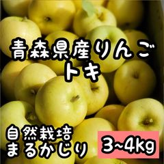 青森県産りんご★トキ★減農薬栽培
