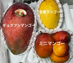 2025年最新】金蜜マンゴーの人気アイテム - メルカリ