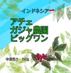 インドネシア　アチェ　ガジャ農園