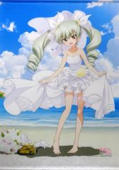 未開封】ガールズ&パンツァー 大洗 アンチョビ B2タペストリー 山戸