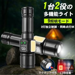 Item thumbnail for item 84a102eb-3319-4b42-8c32-fab4923044f9