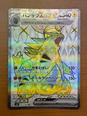 2025年最新】バンギラスex srの人気アイテム - メルカリ
