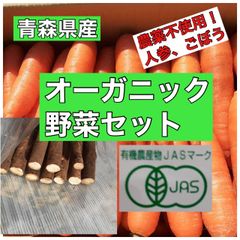 オーガニック野菜セット（人参、ごぼう、）【TSK】