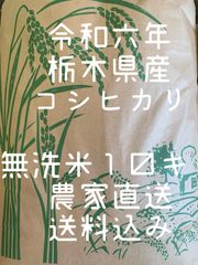 令和6年　栃木県産　コシヒカリ　無洗米10キロ