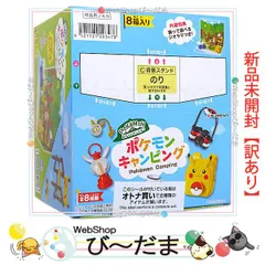 外箱未開封　リーメント　ポケモン　ポケモンキャンピング