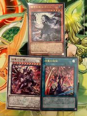 ※特価※【遊戯王】ディアノート、ティルル、パルラ25thセット Amazon.co.jp: 遊戯王 SLF1-JP062 ドラゴンメイド・パルラ (日本