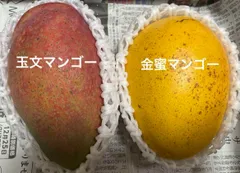 2025年最新】金蜜マンゴーの人気アイテム - メルカリ