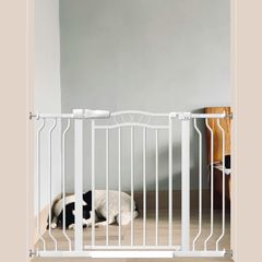 Item thumbnail for item 1f418184-8044-4231-b55a-ee77e72250fe